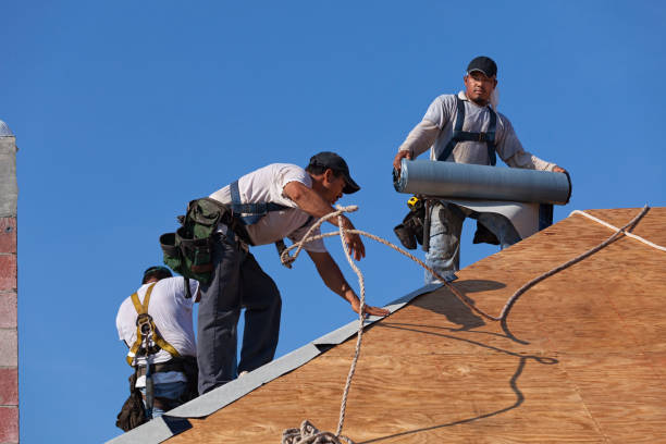 Quick and Trustworthy Emergency Roof Repair Services in Alondra Park, CA